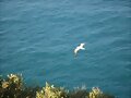 Cabo de La Nao denia