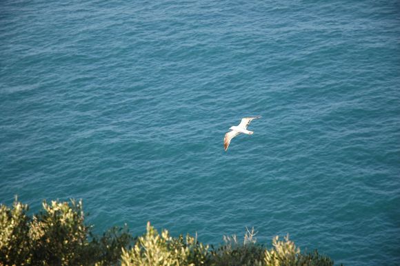 Cabo de La Nao denia