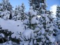 despues de una buena nevada