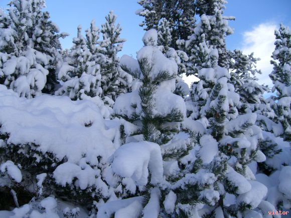 despues de una buena nevada