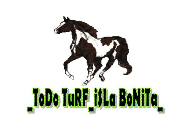 _ToDo TuRF_iSLa BoNiTa_