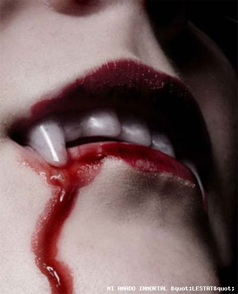 AMADO LESTAT DEJAME BEBER DE TI