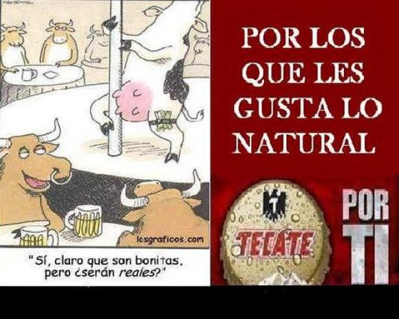 x q no los animales???
