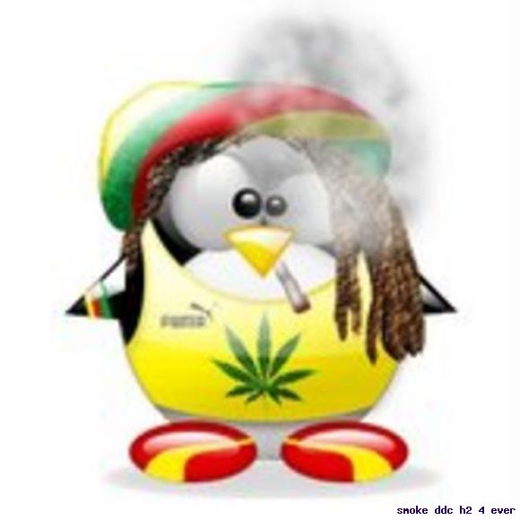 pingüino rastaman