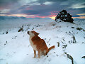 Hace mucho frio...