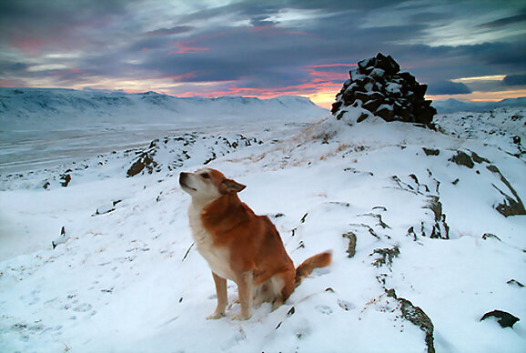 Hace mucho frio...