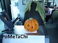 Feliz Halloween!
