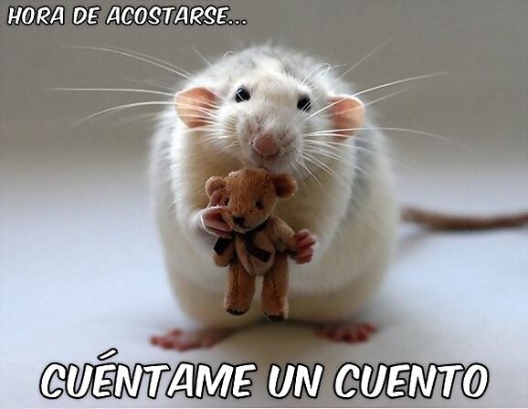 Si, hoy me acuesto pronto