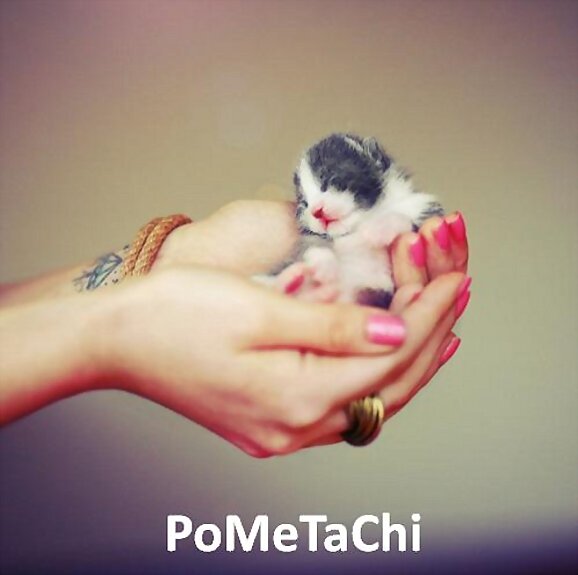 Awwww ~ ~ ~