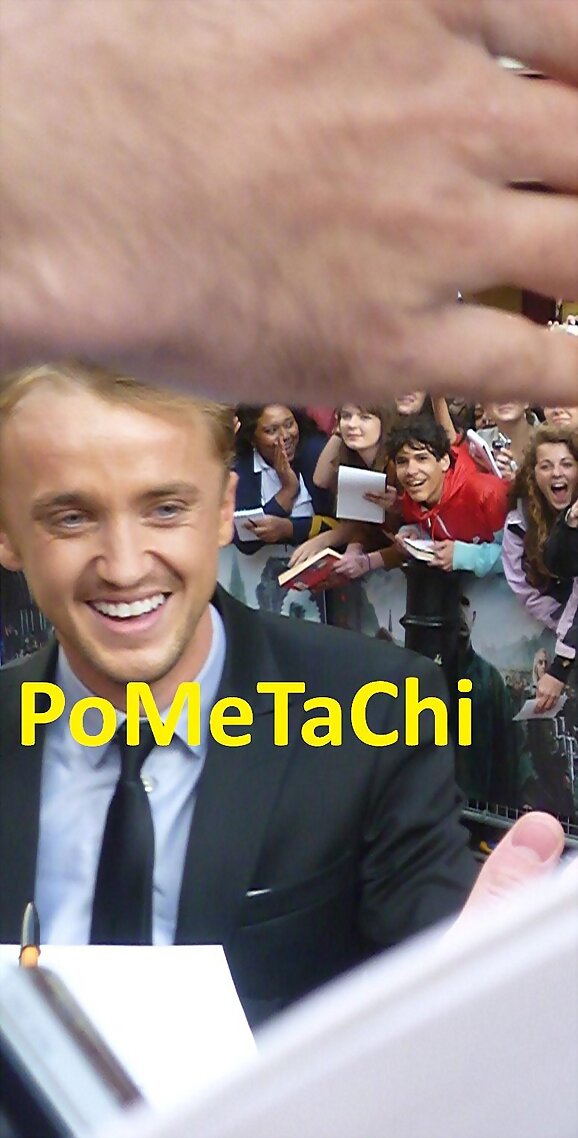 @TomFelton