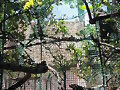 La casa del arbol