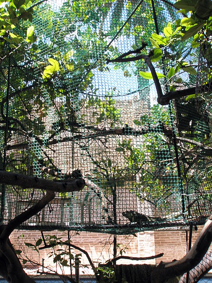 La casa del arbol