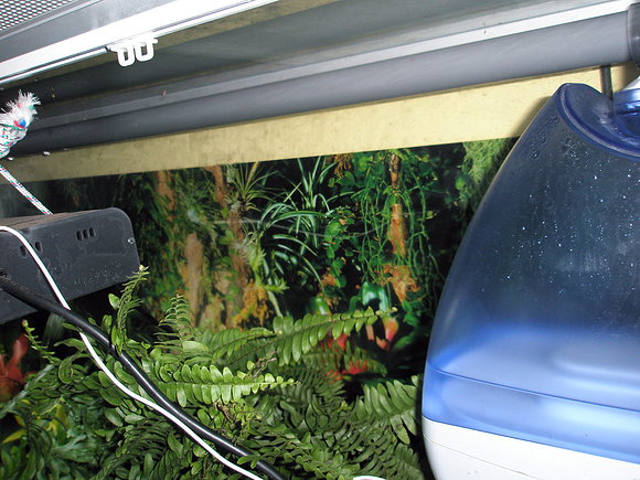 humidificador