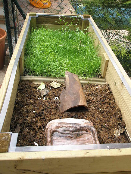 recinto para terrapenes baby