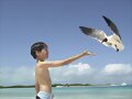 Los Roques