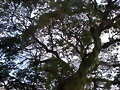 Cielo de Venezuela