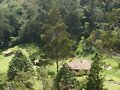 Los MIrtos Venezuela
