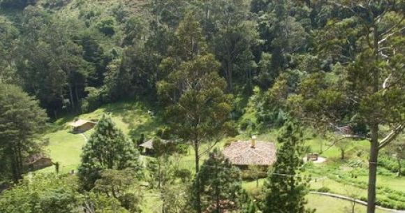 Los MIrtos Venezuela