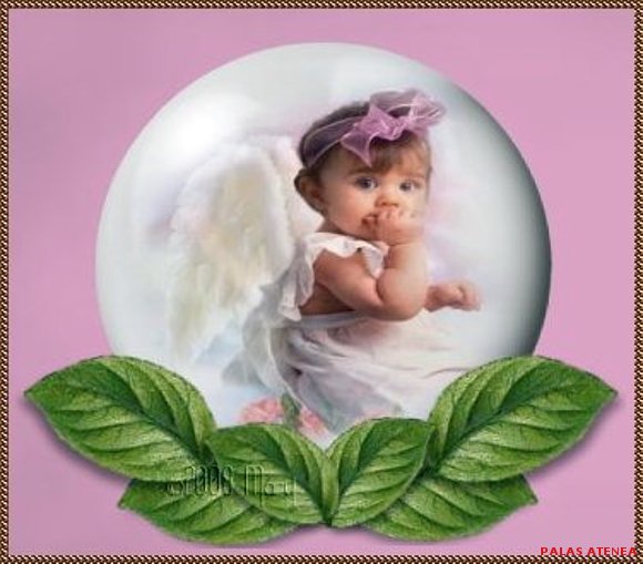 SE MURIÓ MI ÁNGEL