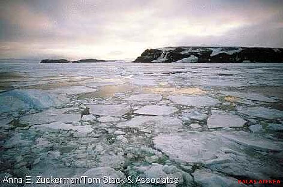 HIELO