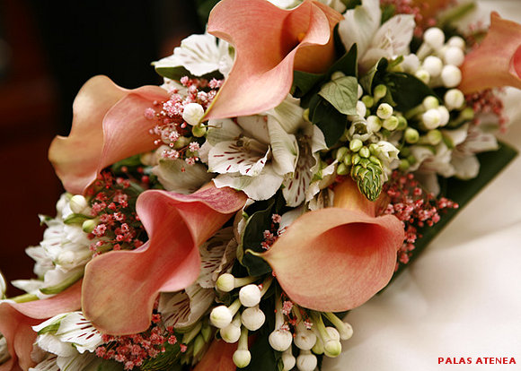 UN RAMO DE FLORES