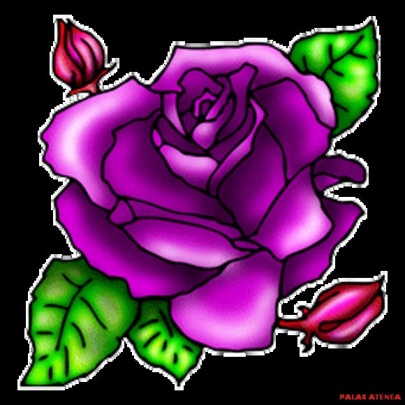 SIEMPRE USABAMOS ROSAS PARA DECIR TE AMO