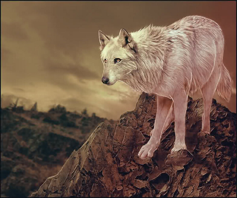 LOBOS