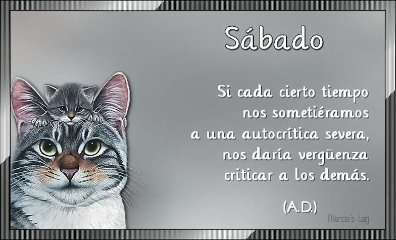 SÁBADO