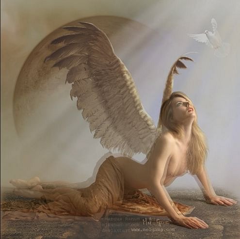 ANGEL HERMOSO