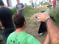 antolin y demas