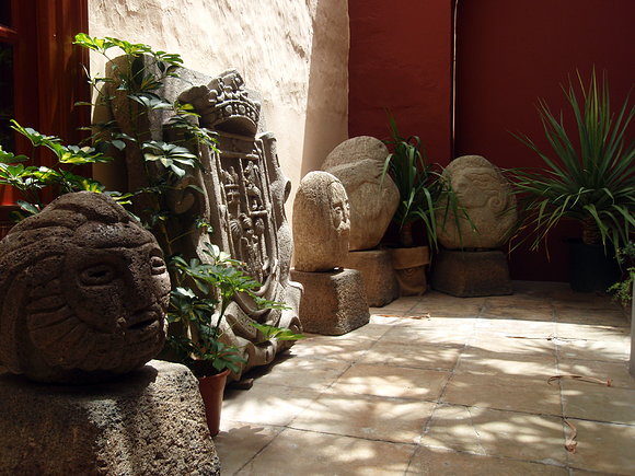 JaRDíN deL DRaGo