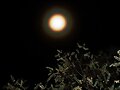 Luna de Uspallata
