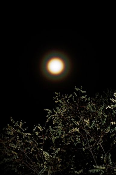 Luna de Uspallata