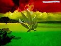 Pasen Por El Blogs Frases de Reggae Podras Descar