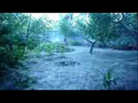 nightwish-the siren