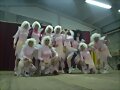 VIVA LA DAMA DE ROSA, PERDON, LAS HADAS DE ROSA