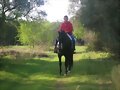EL CALAMBRE MONTADO A CABALLO