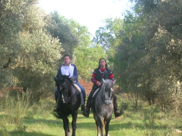 GALOPANDO................