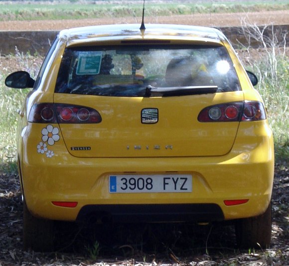 MI COXE