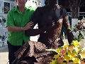 JUNTO A LA ESTATUA DE ROCIO JURADO