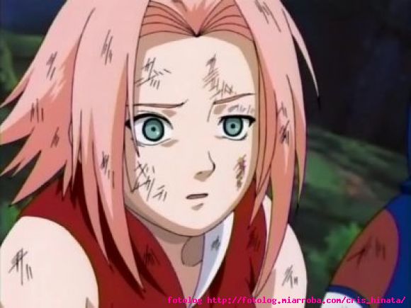 POBRE SAKURA