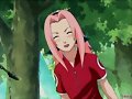 sakura encima de un arbol