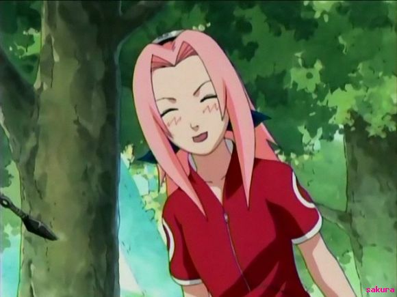 sakura encima de un arbol
