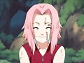 sakura-pelo corto y pelo largo
