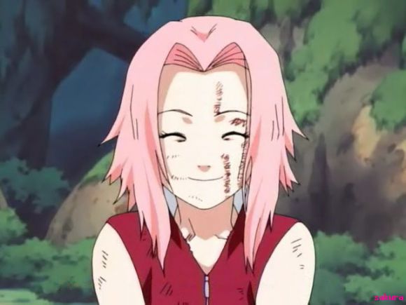 sakura-pelo corto y pelo largo