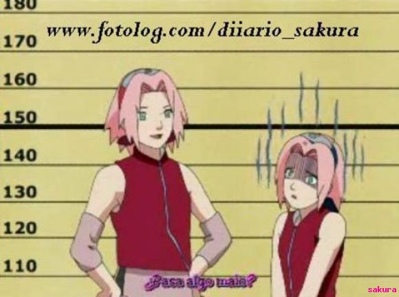 shippuden o genin