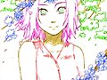 sakura primaveral