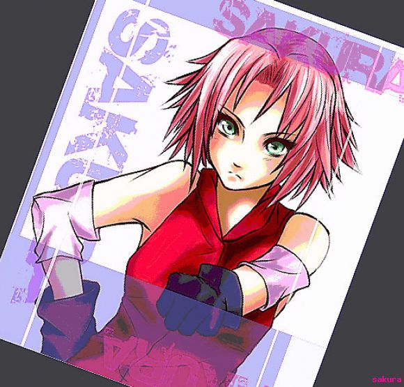 sakura revista