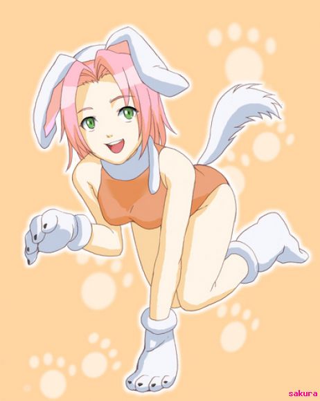 sakura perita