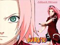valla sakura